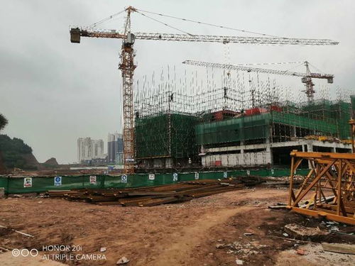 蓬安梧桐大院項目建設工程施工有序推進